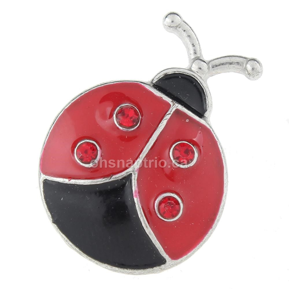 Lady Bug