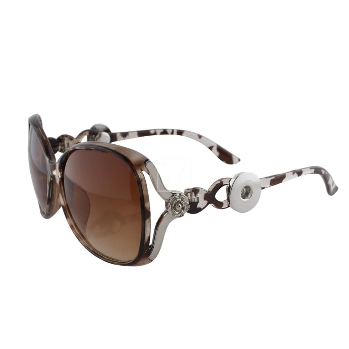 Sunglasses Accessories